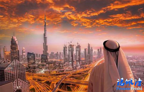 迪拜的制冷市场：基准和实际效率分析